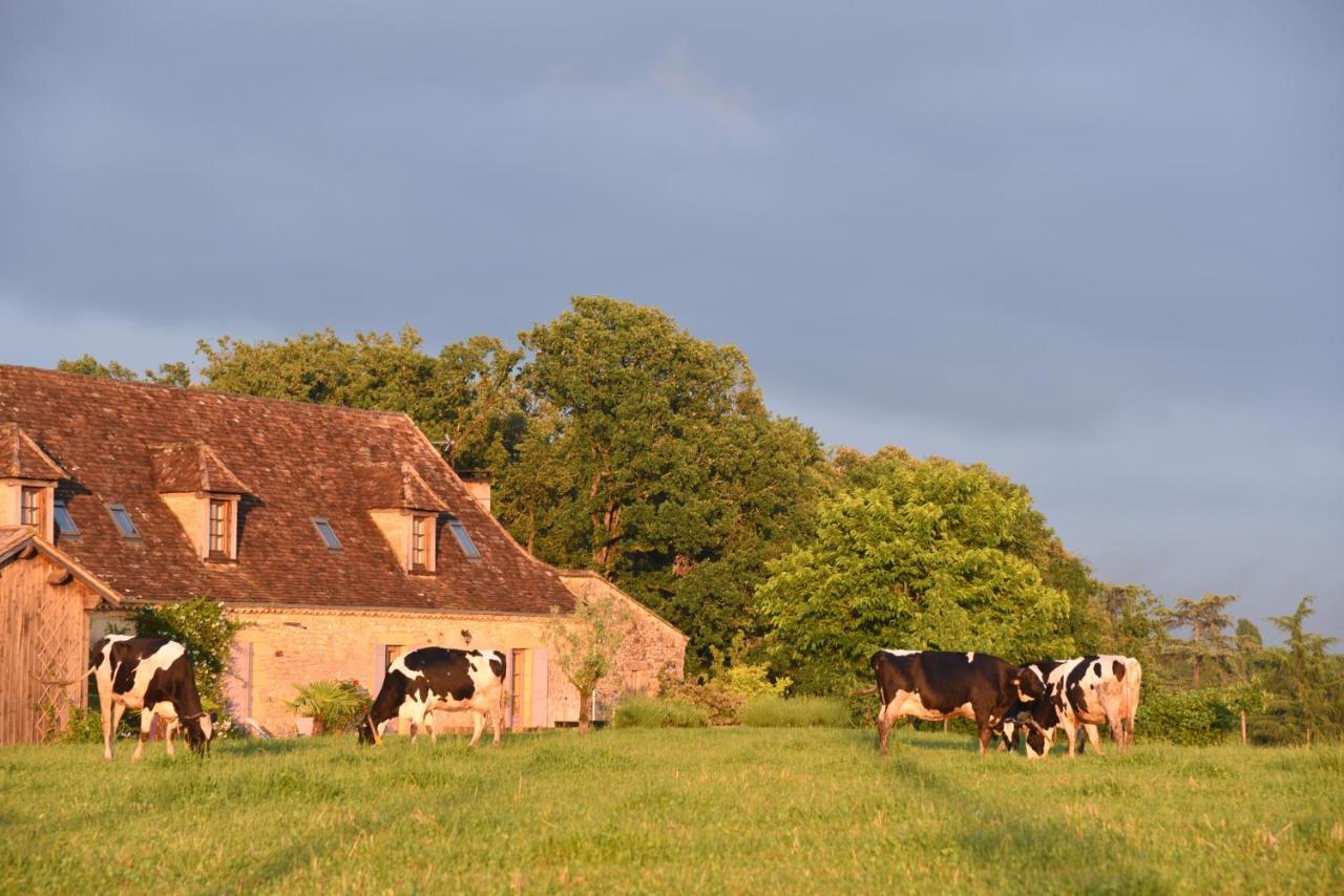 Saint-Avit-Sénieur Chambre D'Hotes La Ferme De La Croix. المظهر الخارجي الصورة