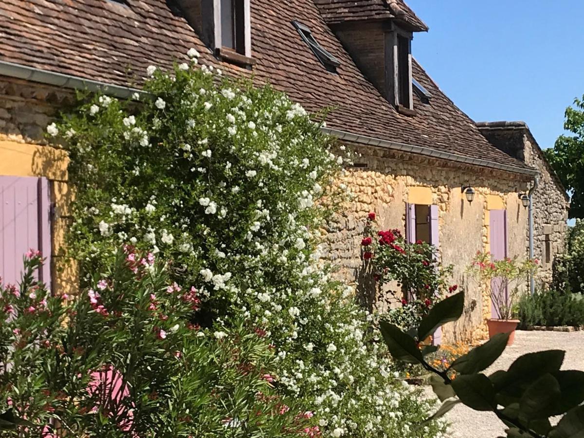 Saint-Avit-Sénieur Chambre D'Hotes La Ferme De La Croix. المظهر الخارجي الصورة